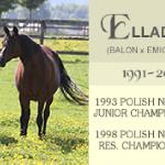 Ellada