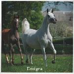 Emigra - Emigra z og. Embid (po Poganin) 2010<br />&copy; Stuart Vesty