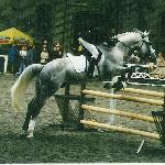 Machandel - Kętrzyn 2000 rok