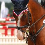 Candillo's Boy - MPMJ, Warka 2009<br />&copy; Oliwia Chmielewska