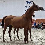 Ekliptyka - sierpień 2019<br />&copy; Anna Pyzara-Nakoniechnaia
