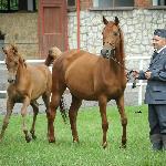 Ekliptyka - z córką Enobaria 2014<br />&copy; Anette Mattsson