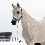 Ernera<br />&copy; Anette Mattsson