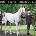 Eberia