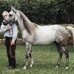 Perlik - Perlik, wiosna 1997 lub 1998 i Andrzej Strumiłło, Maćkowa Ruda
