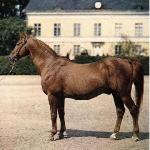 Heristal