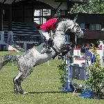 Lord Liberator - CSIO**** Poznań 2005<br />&copy; voltahorse.pl
