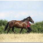 Palba - Chmielewo 2012<br />&copy; Beata Gan