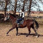 Estella<br /><i>Słupsk, maj 2015</i>