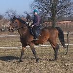Hedar