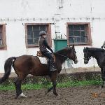 Czarowna - Racot, 22 listopada 2014<br /><i>Z prawej Almera</i>