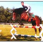 Landos<br /><i>https://www.muller-equine.cz/reprodukce-koni-1/historie-stanice/rok-1997/landos.html</i>