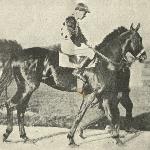Chateau Bouscaut<br /><i>Jeździec i Hodowca 1930</i>