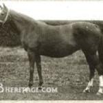 Lady Josephine