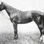 Lady Josephine