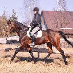Polder