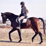 Polder