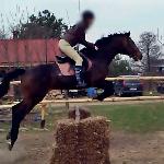 Polder