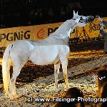 Hulala - Hulala 2011<br />&copy; Irina Filsinger