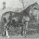 Lungau