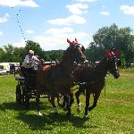 Kama - V Powiatowa Wystawa Koni Hodowla w Chodzieży 4 lipca 2010r. Grzegorz Wieczorek na koni Kama i Kaja, wygram za 1 miejsca.<br />&copy; Jrena Wieczorek