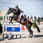 Vandamme<br />&copy; fb Oliwia Chmielewska Photo