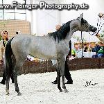 Eksterna - Eksterna 2006<br />&copy; Irina Filsinger