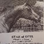 Star of Ofir