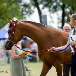 Espiria - Espiria 2008<br />&copy; R.Reed