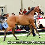 Espiria - Espiria 2007<br />&copy; Irina Filsinger