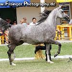 Herlina - Herlina 2008<br />&copy; Irina Filsinger