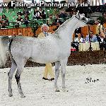 Ariadne - Ariadne 2006<br />&copy; Irina Filsinger