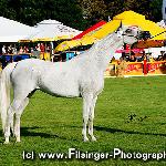 Loretta - Loretta 2006<br />&copy; Irina Filsinger