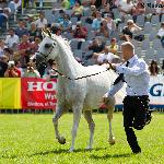 Fabira - Fabira 2010<br />&copy; R.Reed
