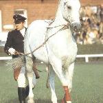 Galan