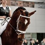 Panicz - Cavaliada 2011 - pokaz woltyżerki