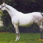 Pustynna Tarcza - Pustynna Tarcza, sierpień 1998