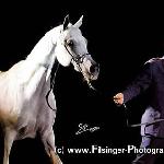 Pustynna Tarcza - Pustynna Tarcza 2005<br />&copy; Irina Filsinger