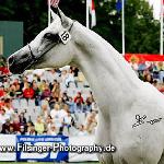 Pustynna Tarcza - Pustynna Tarcza 2005<br />&copy; Irina Filsinger