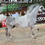 Pustynna Tęcza - Pustynna Tęcza 2010<br />&copy; Irina Filsinger