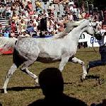 Palestyna - Palestyna 2004<br />&copy; Irina Filsinger