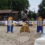 Hubal - kj  equistro w wierzawicach