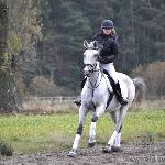 Oskar - oskar hubertus 2011