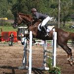 Napar<br />&copy; Małgorzata Odyniec