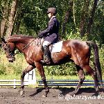 Ameryk - 2007