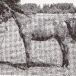 Peoria