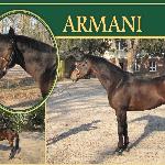 Armani - Armani<br />&copy; SO Sieraków