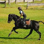 Aramis - ZT Bogusławice 2010<br />&copy; Oliwia Chmielewska