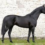 Aramis