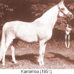Karramba